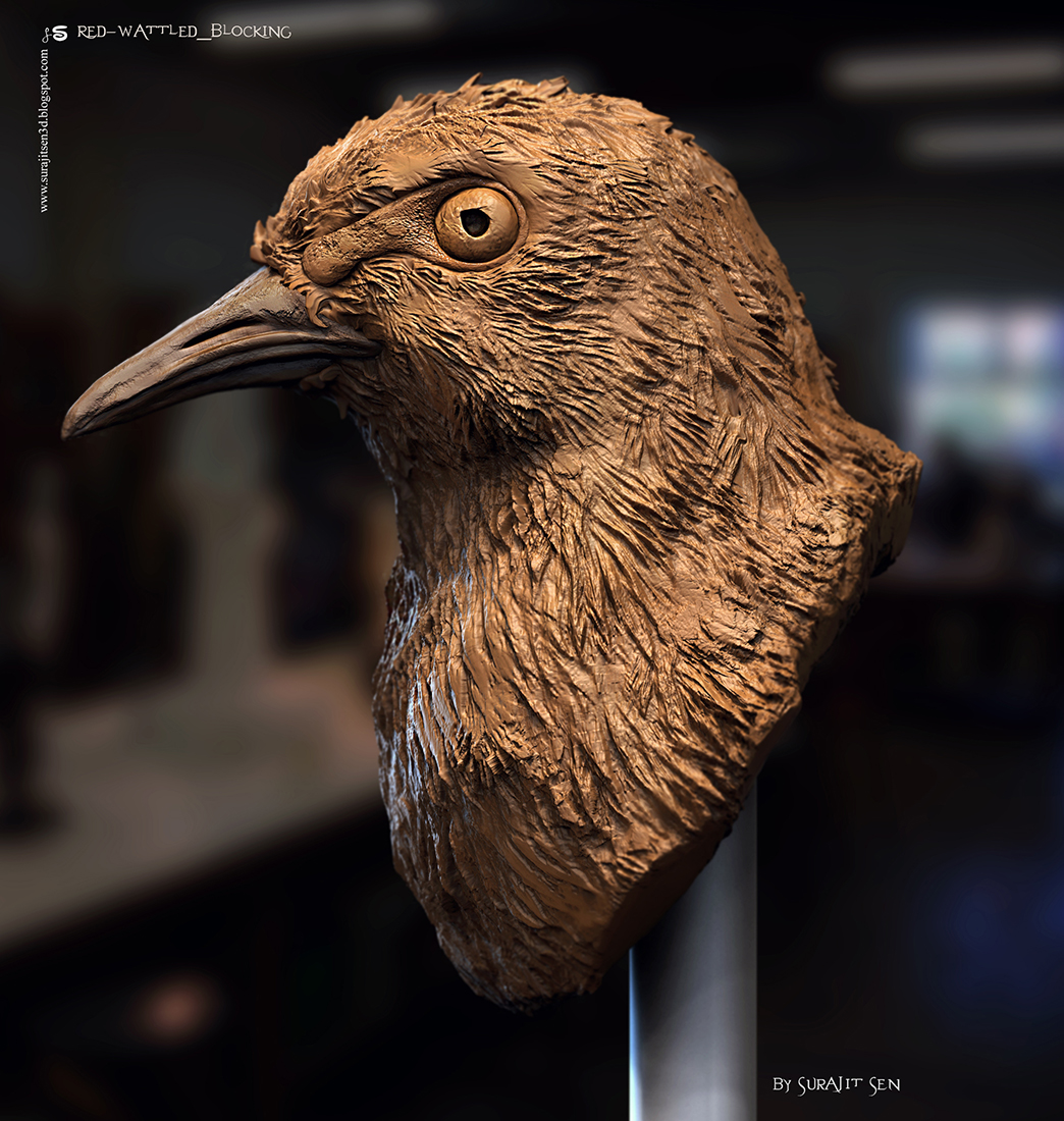 Red-wattled_blocking_Digital_Sculpting_SurajitSen_Jan2021A_L