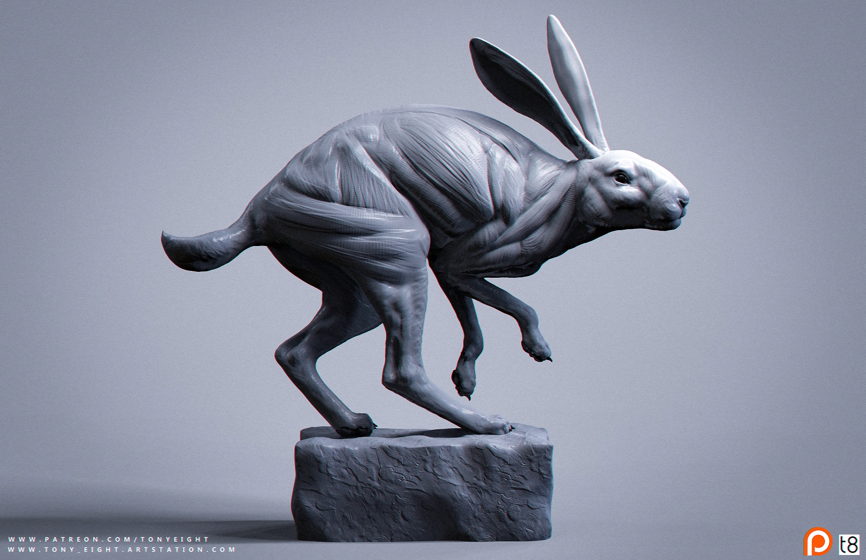 01_Rabbit_Pose_profile_small.jpg