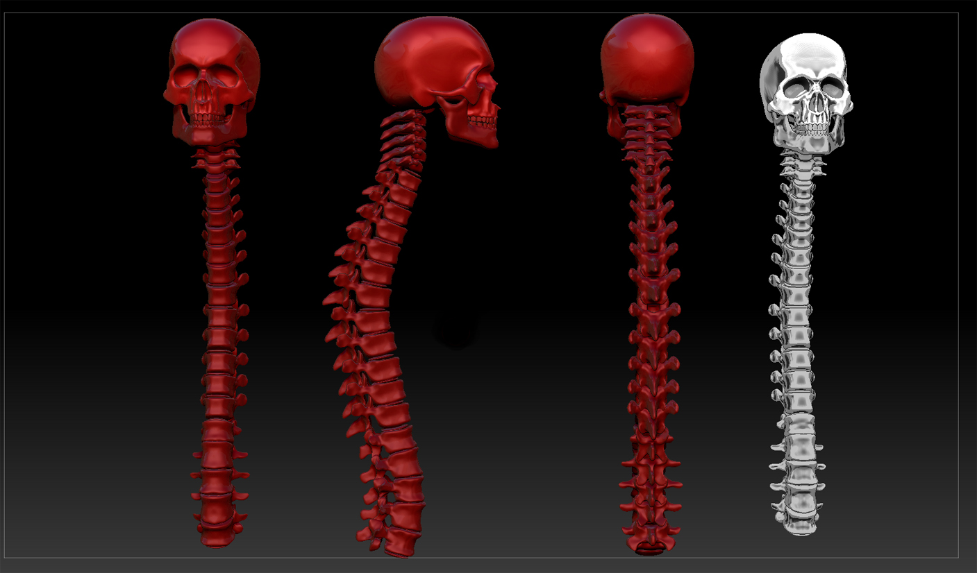 skullandspine.jpg