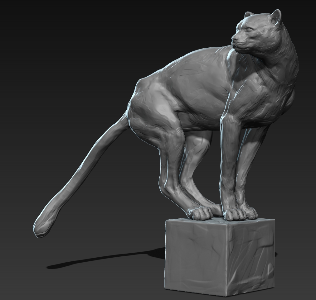 CHEETAH_02.jpg