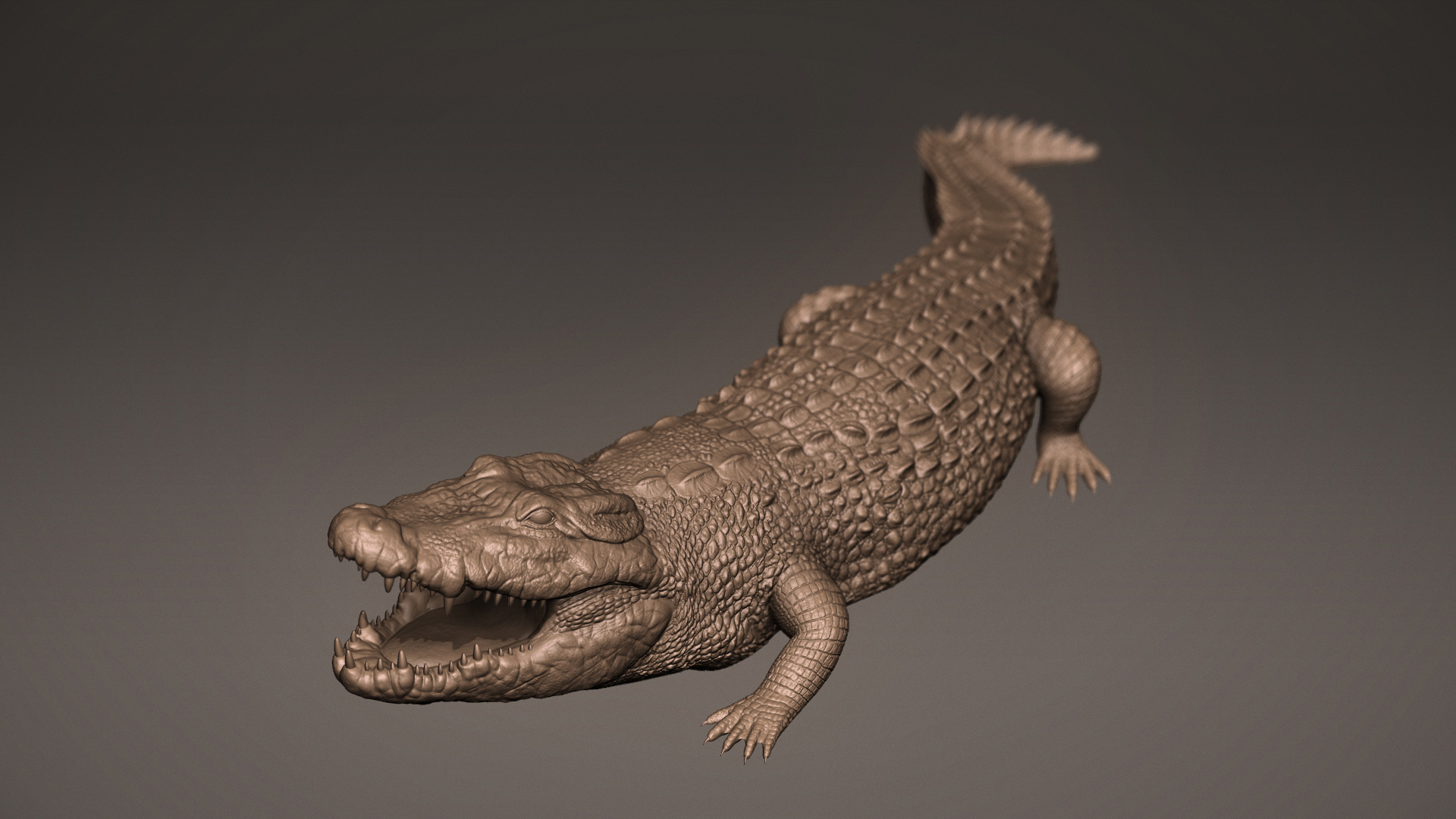 ivan-kocic-crocodilepresentation-perspective-1.jpg