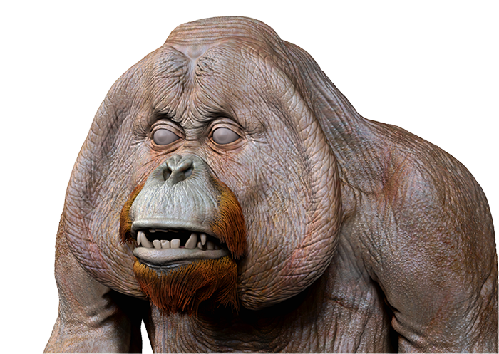 RENDER.png