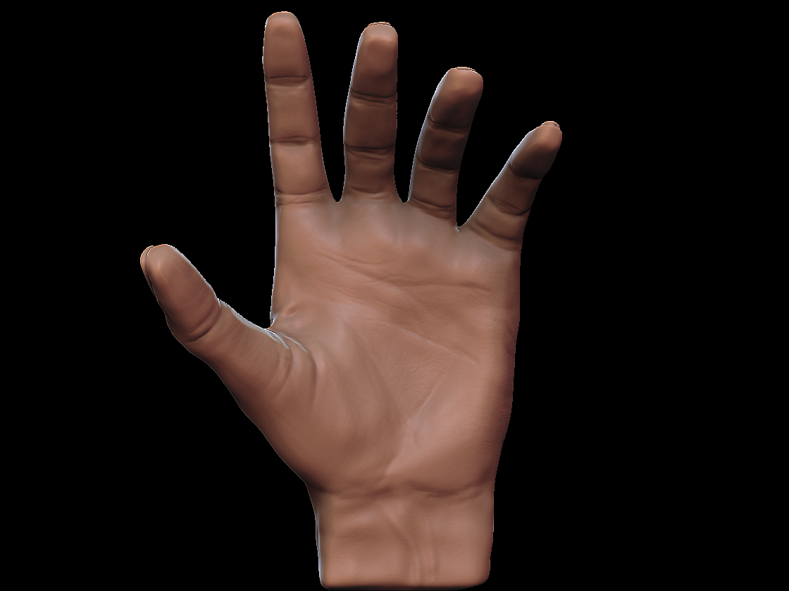 HandStudy2.jpg