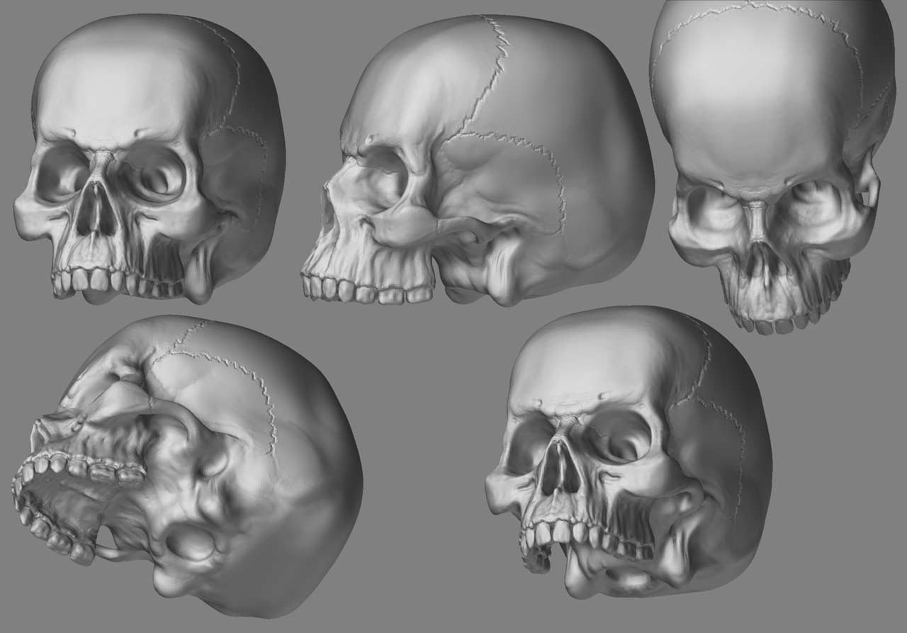 Skull-Comp.jpg