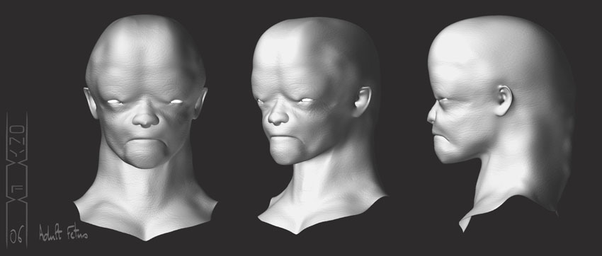 FetusBoy01GreyScaleres72.jpg