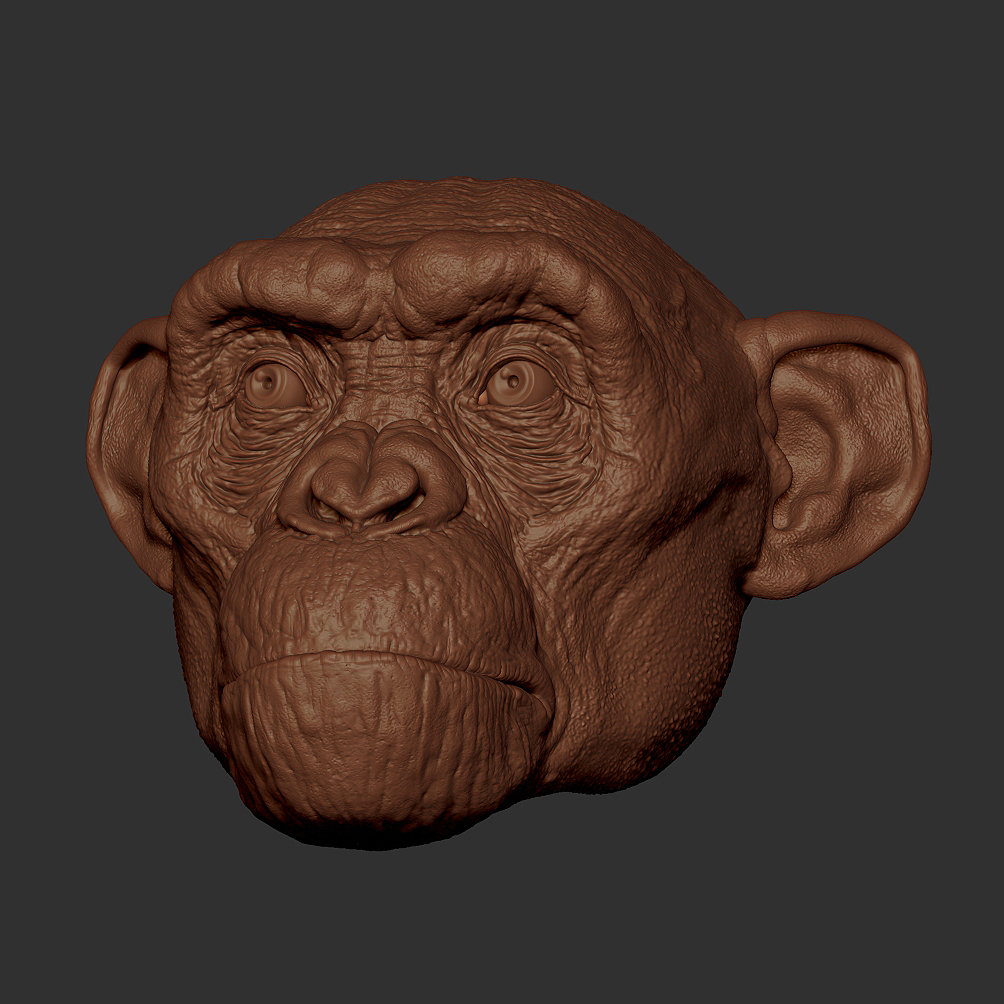 ZBrush Document  001