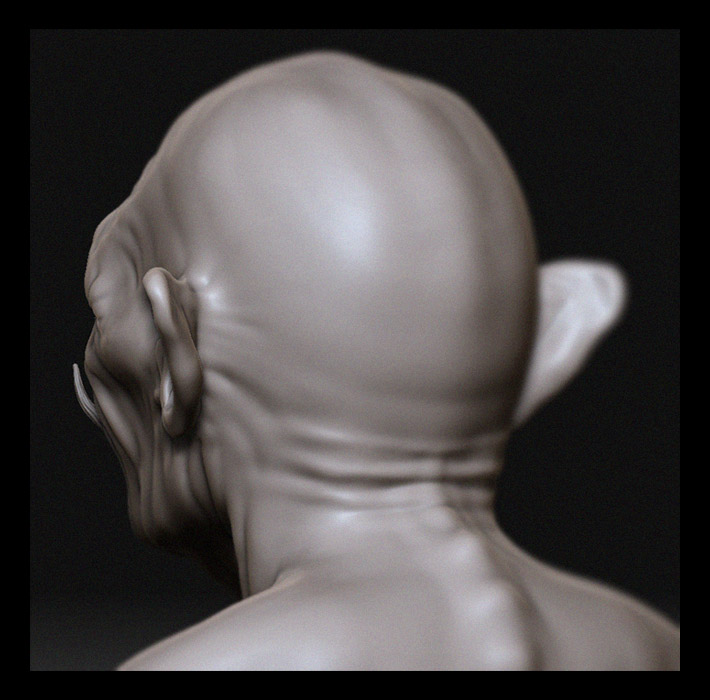 back_3 copy.jpg