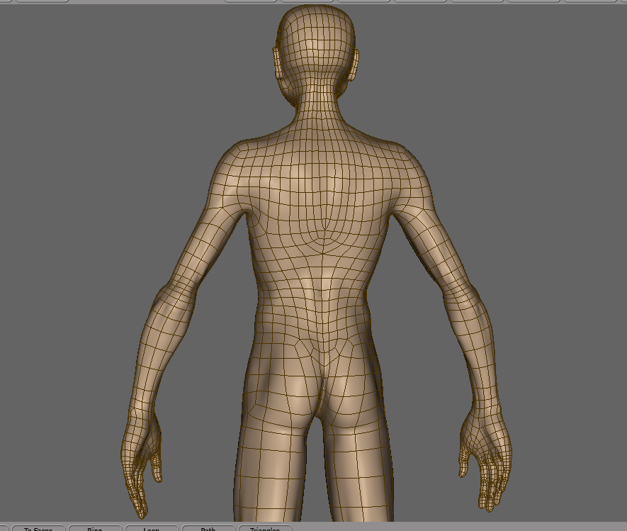torso_back.jpg
