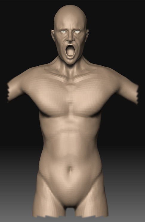 chest_1.jpg