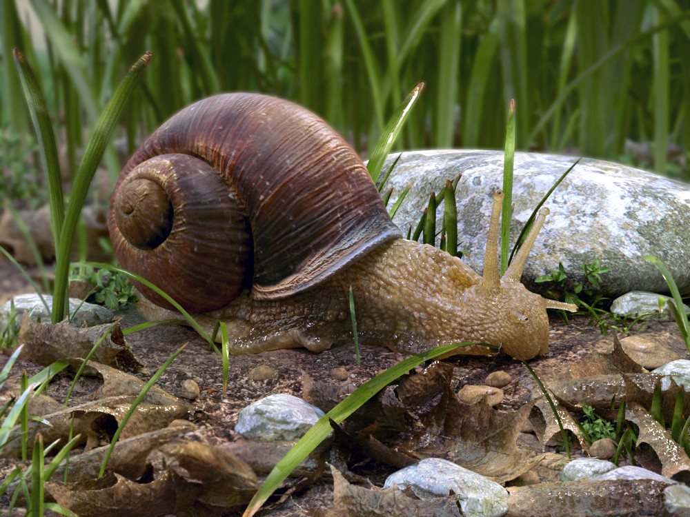 antonio-peres-snail-peres3d-2014r