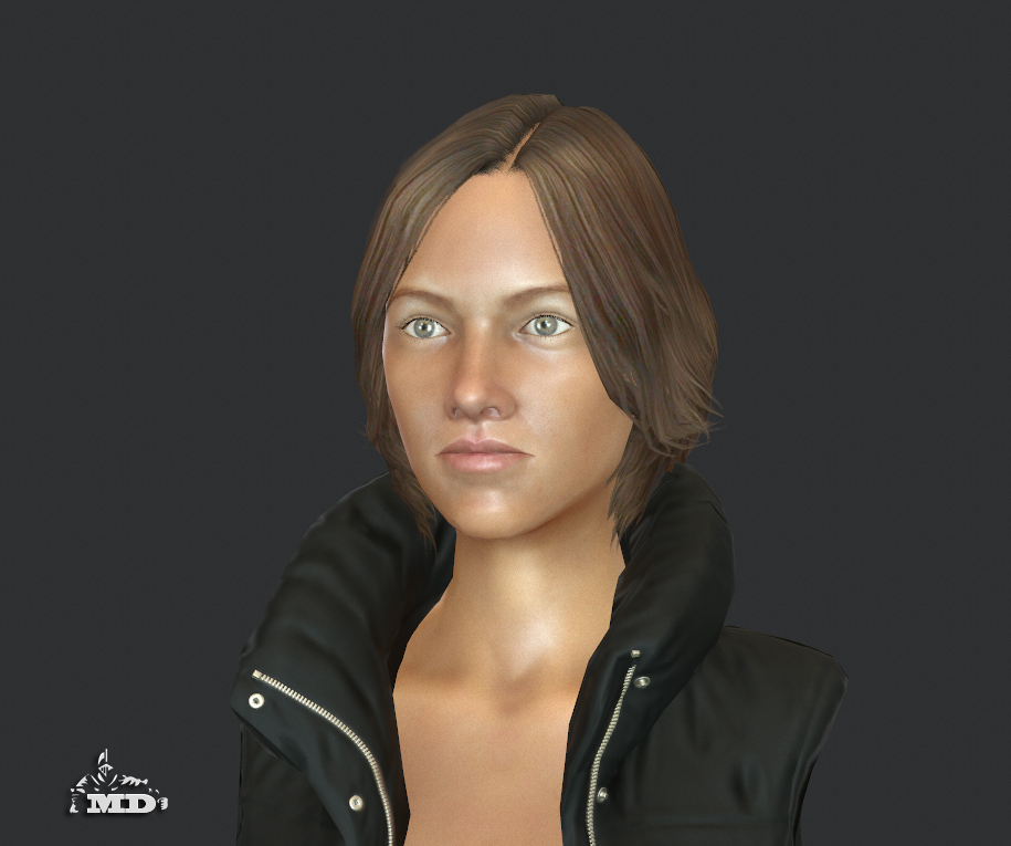 Toriwip01.jpg