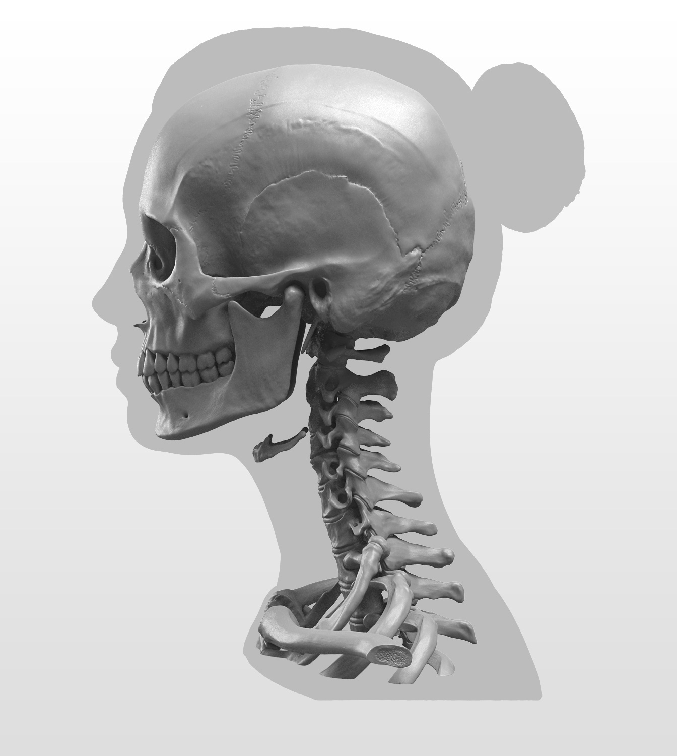 render4.jpg