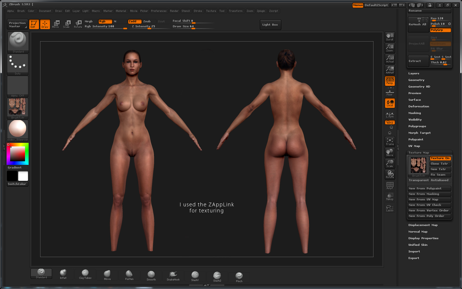 viewport_zbrush.jpg