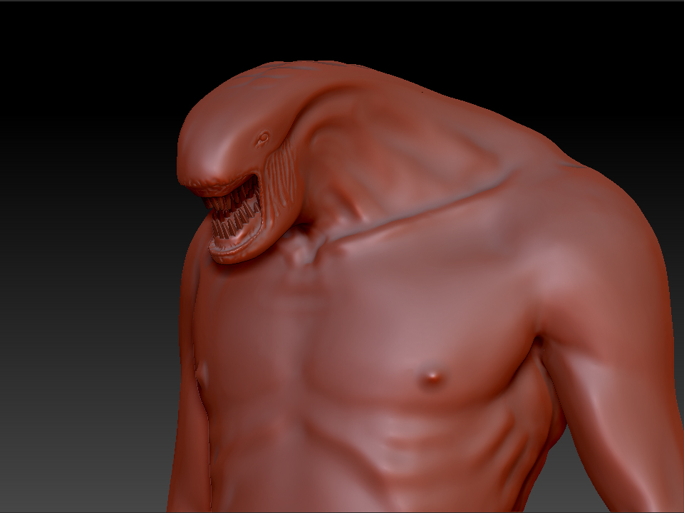 head.jpg