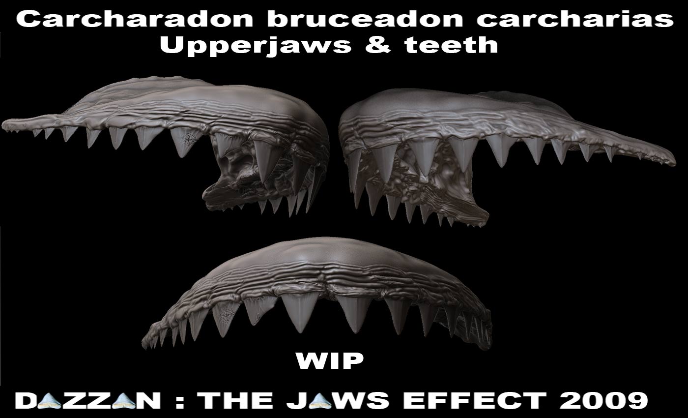 UpperJawsplusteethFINAL.jpg