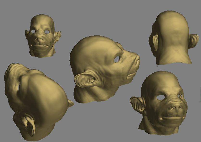 rat_Progress_COMP_01.JPG