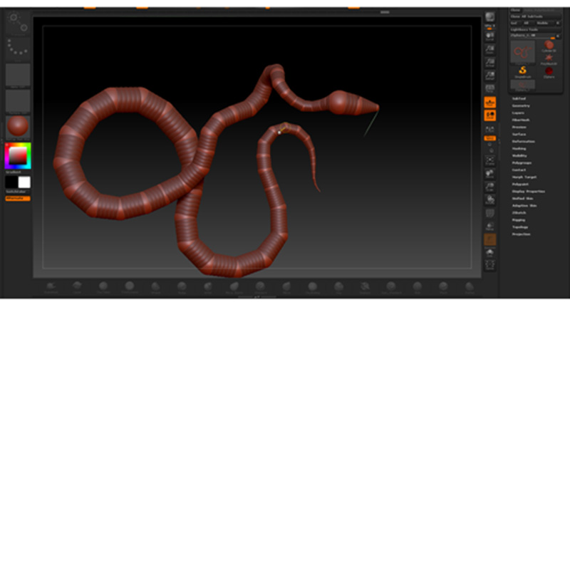 snake_prob_44.jpg