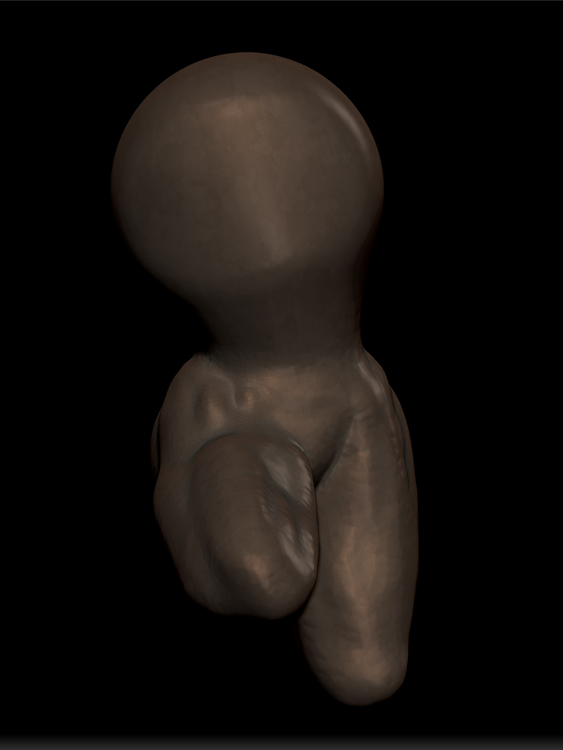 ANATOMY STUDY SCULPTRIS 2.jpg