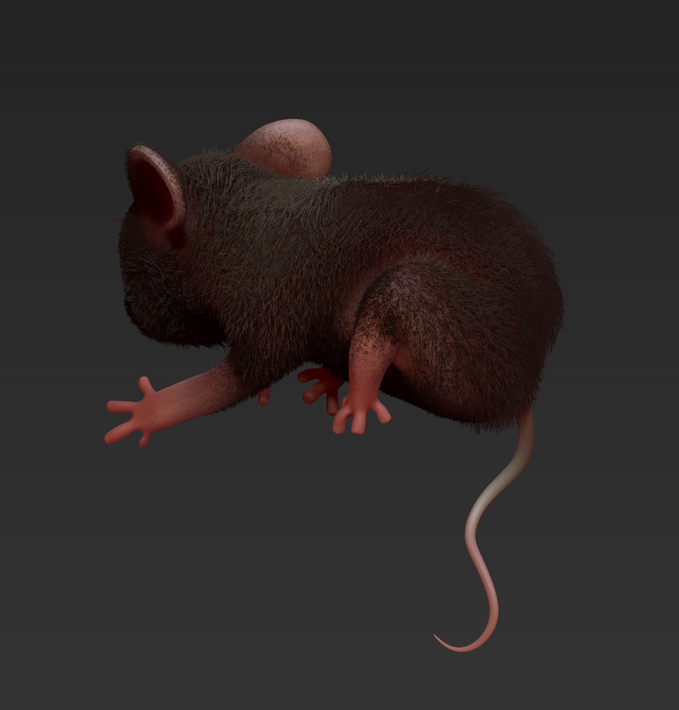 mouse
