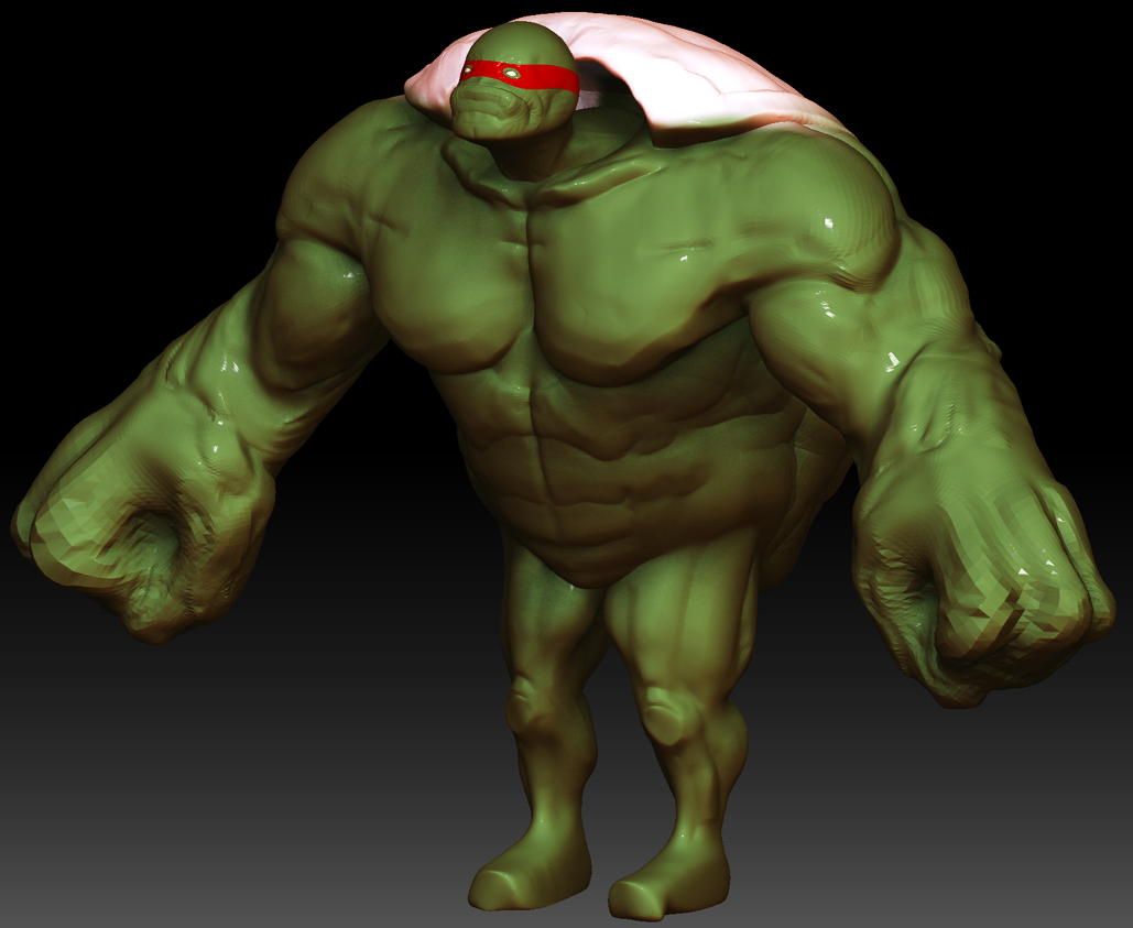 turtle_01.jpg