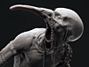 repro02.gif