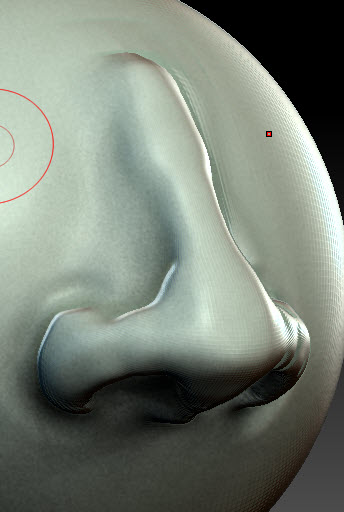 nose side.jpg