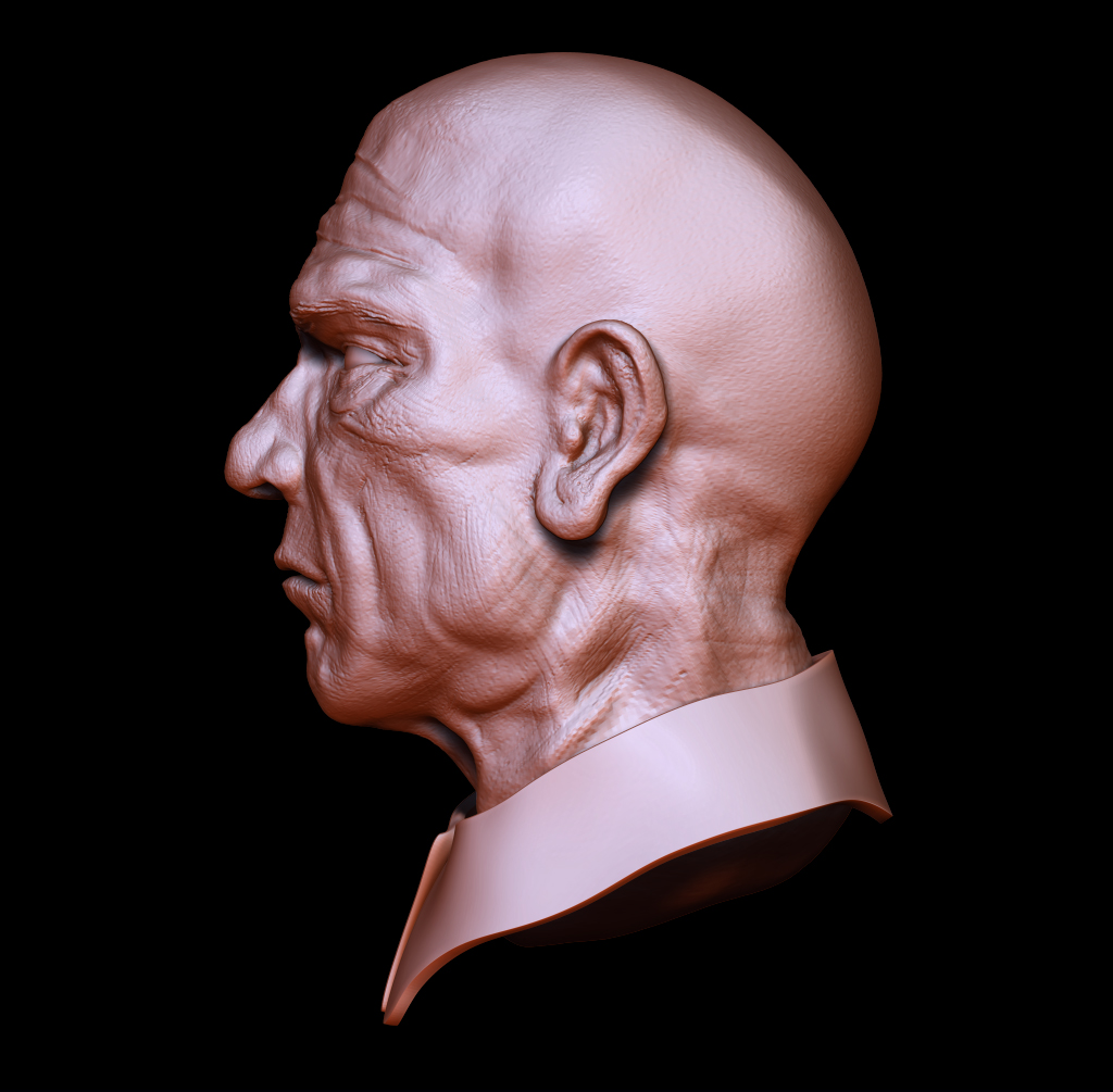 side veiw sculpt.jpg