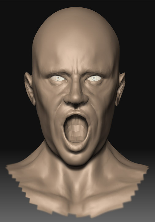 head_front_1.jpg