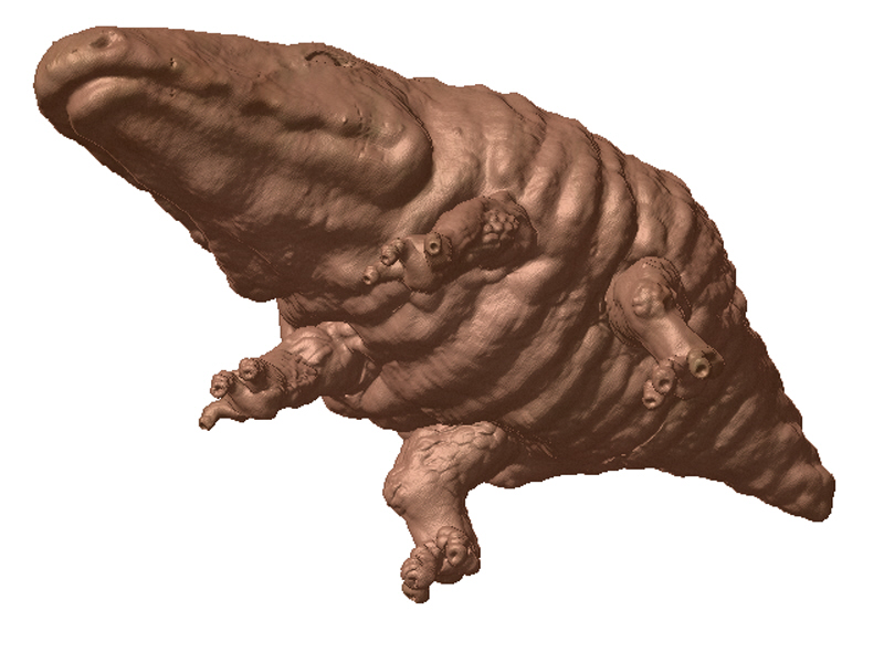 dino04.jpg