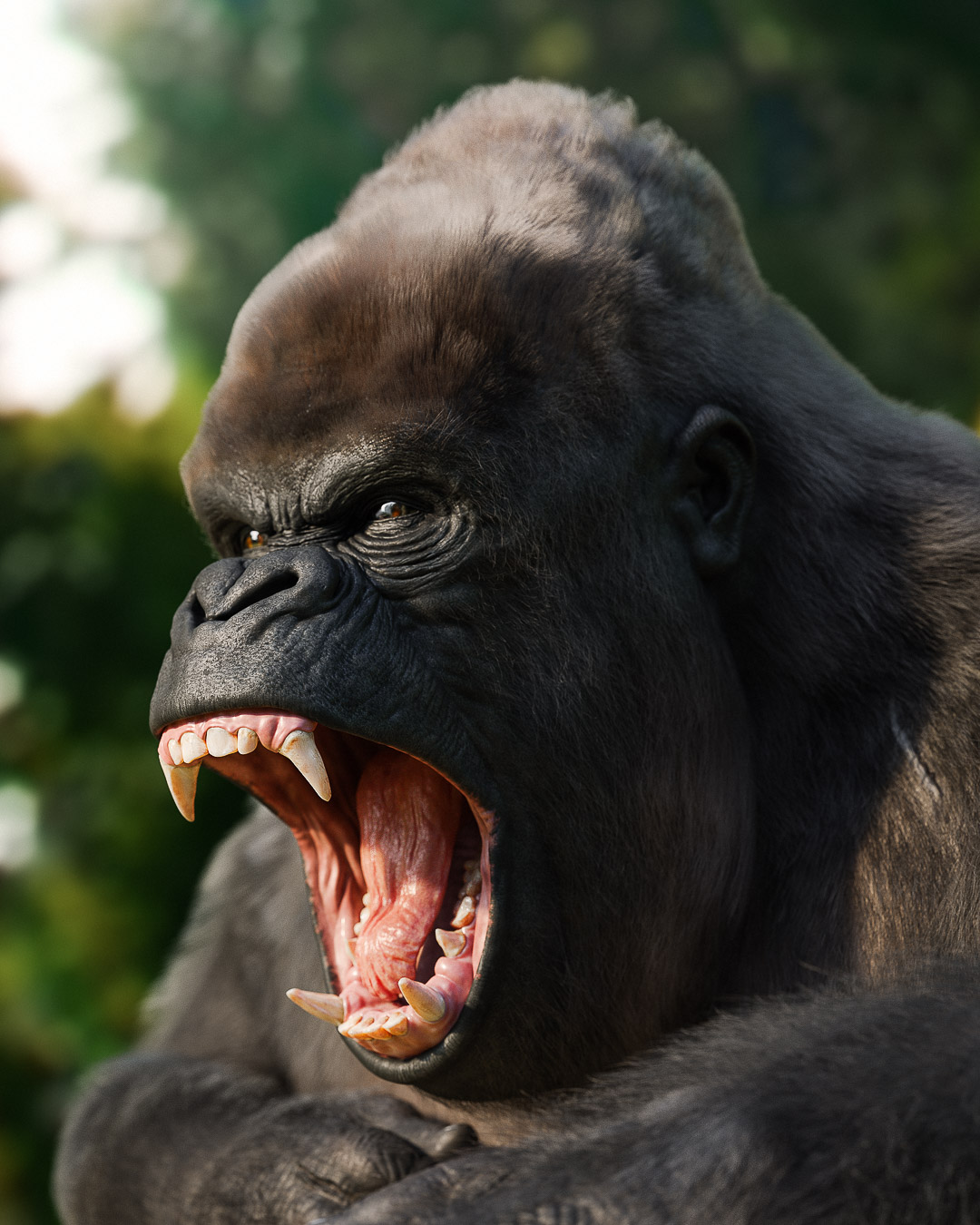 Gorilla_portfolio_1_IG