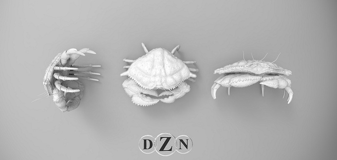 DZN CRAB DEEP BRONZE.230.jpg