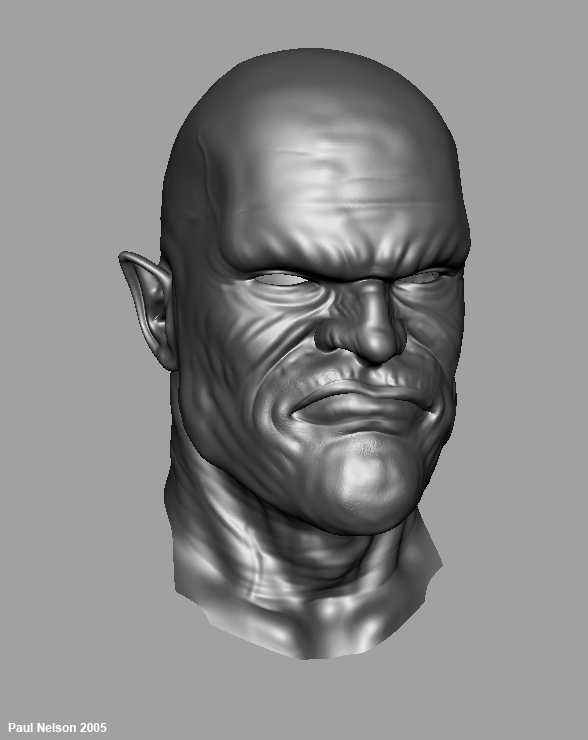 Perspective head1.jpg