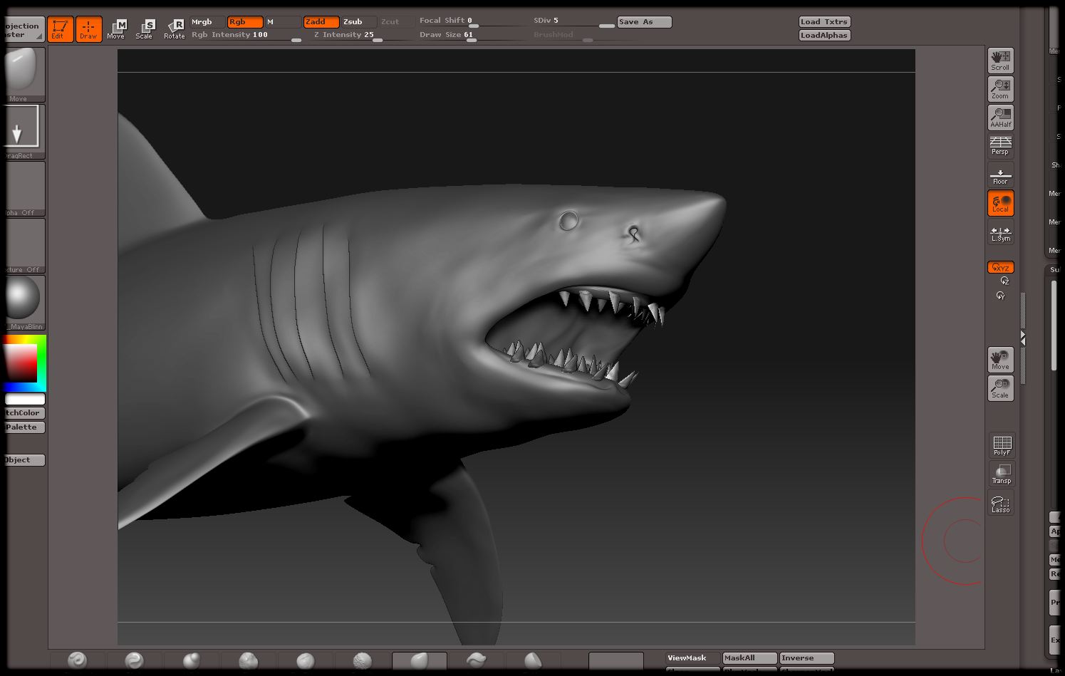 shark001.jpg