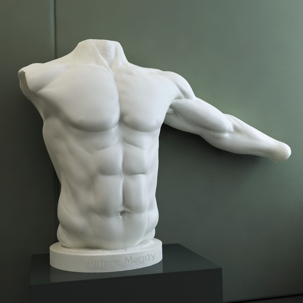 torso.jpg