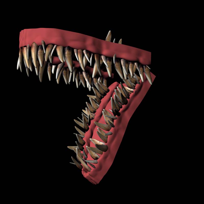 Dragon09_briank.jpg