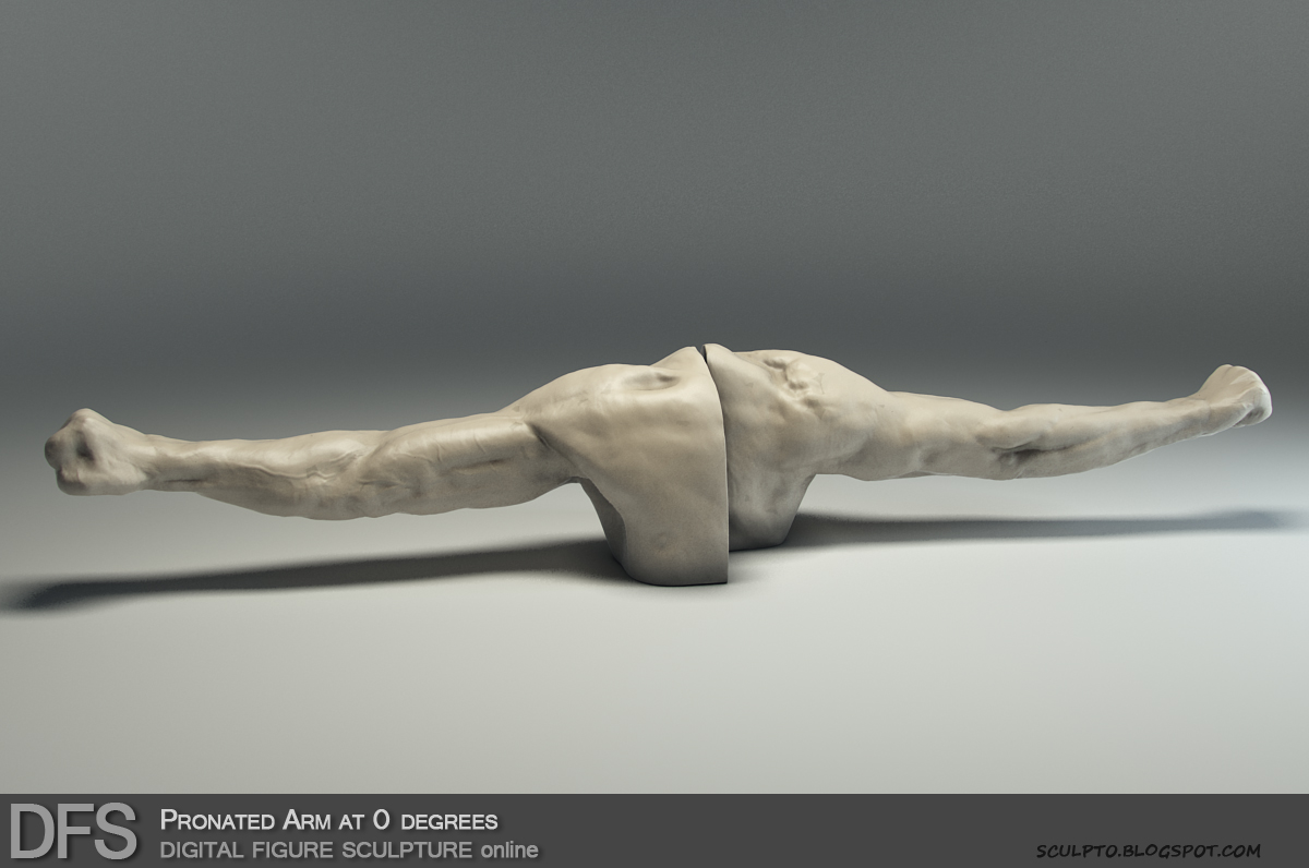 DFS Arm Pronated 0.jpg