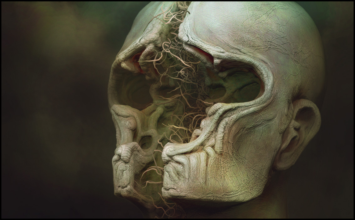 INSUDE HEAD chap WEB.jpg