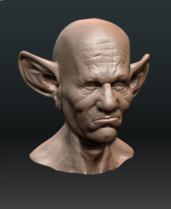 b_ear_04_02.jpg