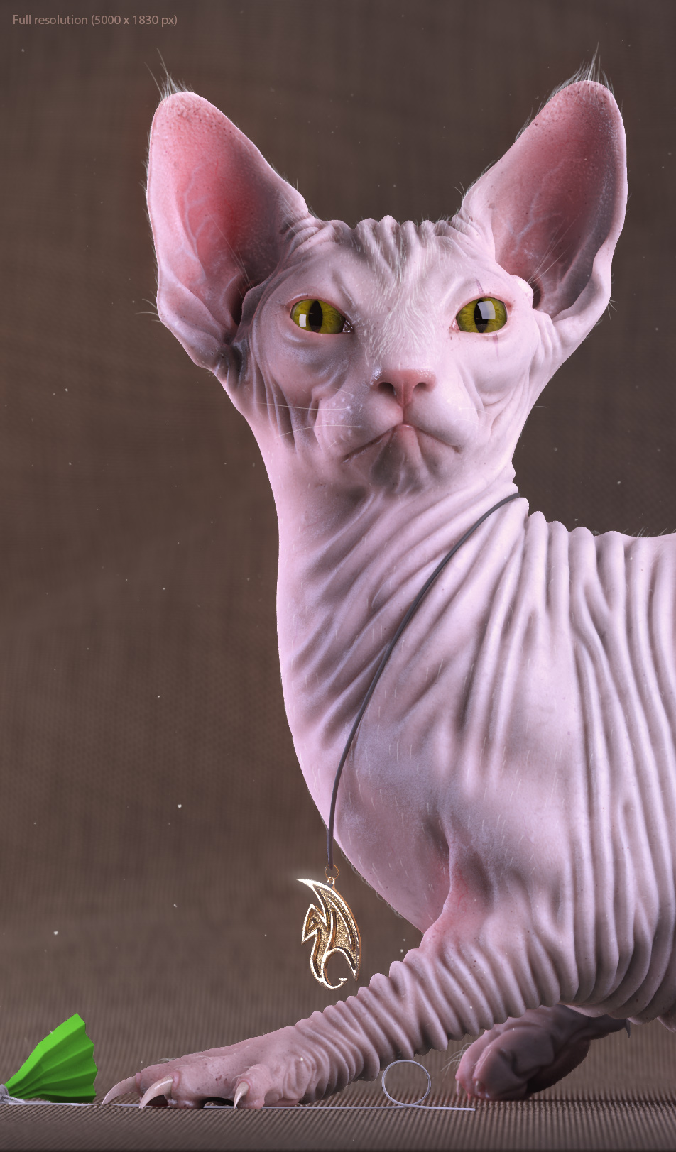 Cat_texel_03.jpg