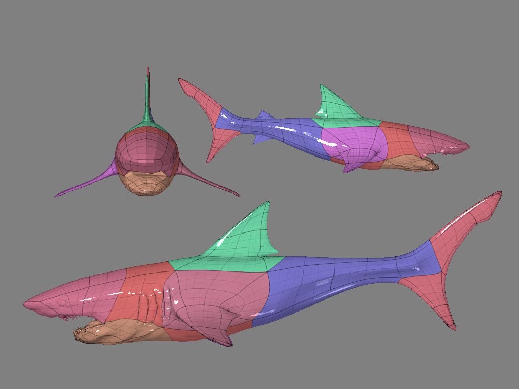Proceso_tiburon_2_cop.jpg