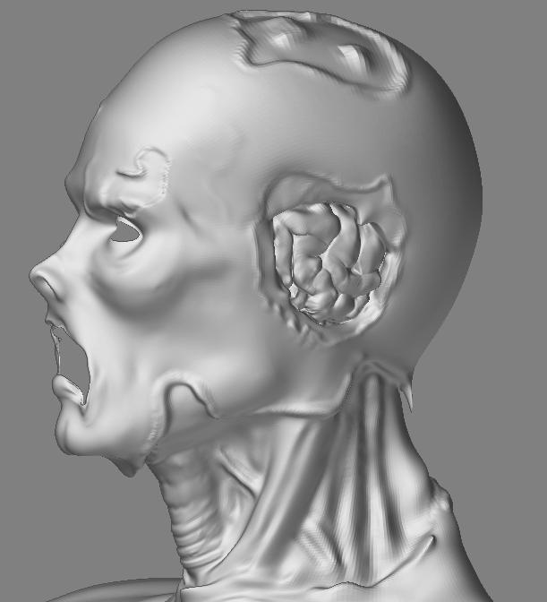 headBrainSide.JPG