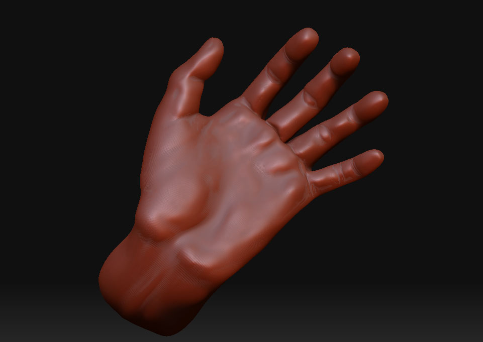 palm.jpg