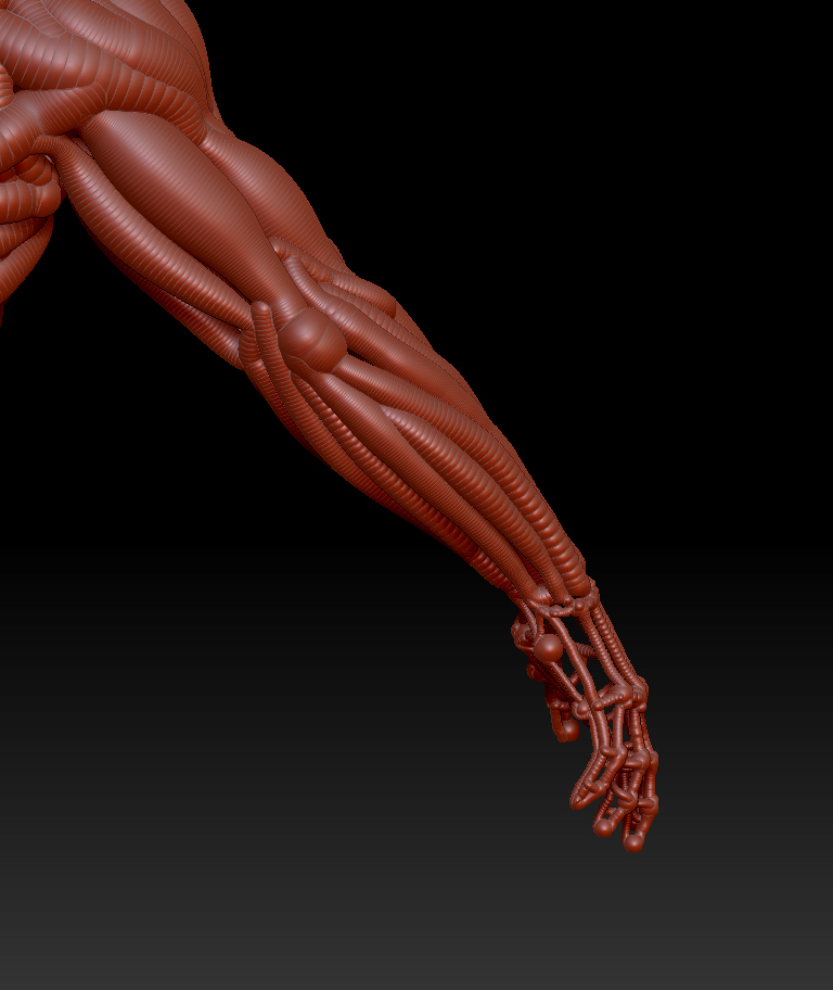 Hand 2.jpg