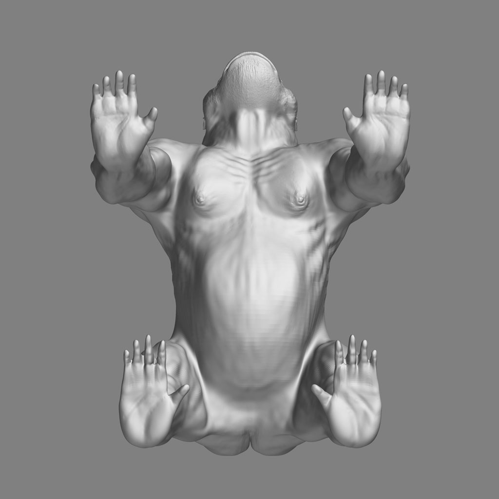 goriman_bottom.jpg