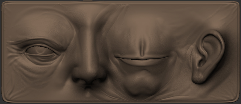 faceplak.jpg