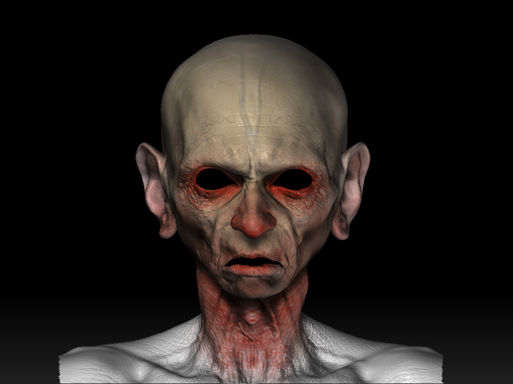 faceforward.jpg