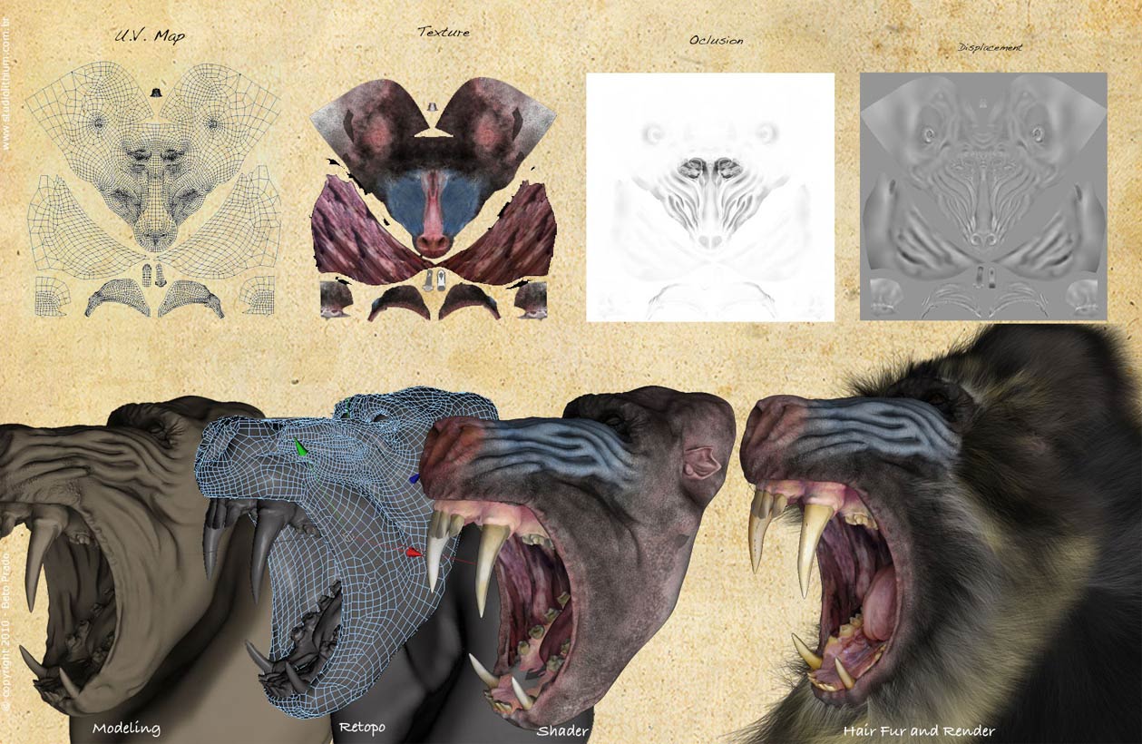 02_Mandrill_board.jpg