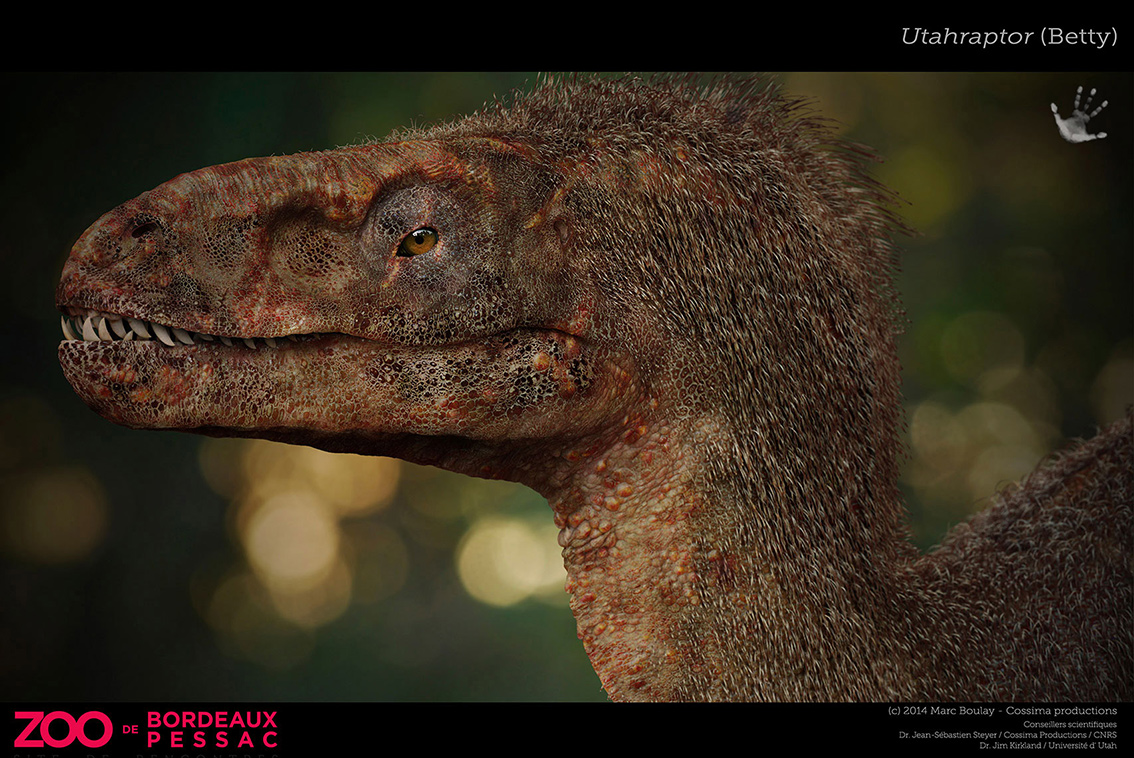 UTAHRAPTOR_BETTY.jpg