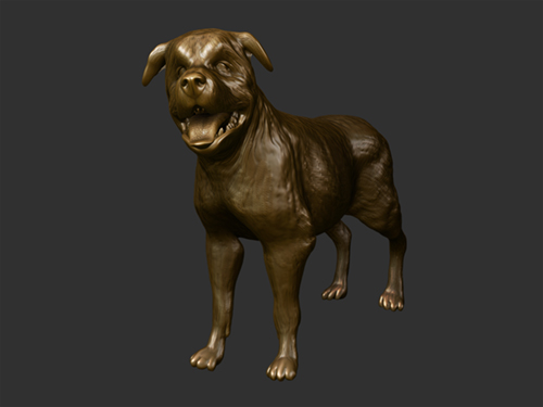 rottweiler_front.jpg