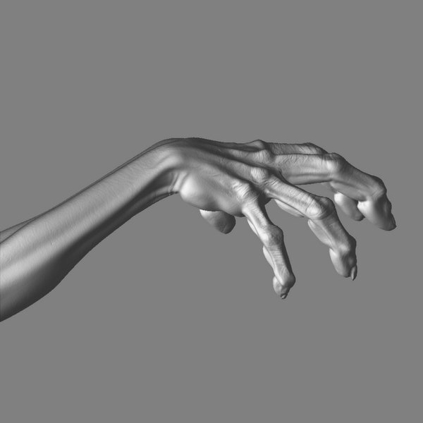 hand_displ_view03.jpg